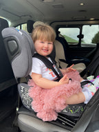 Car Seat Installation & Child Fit Check